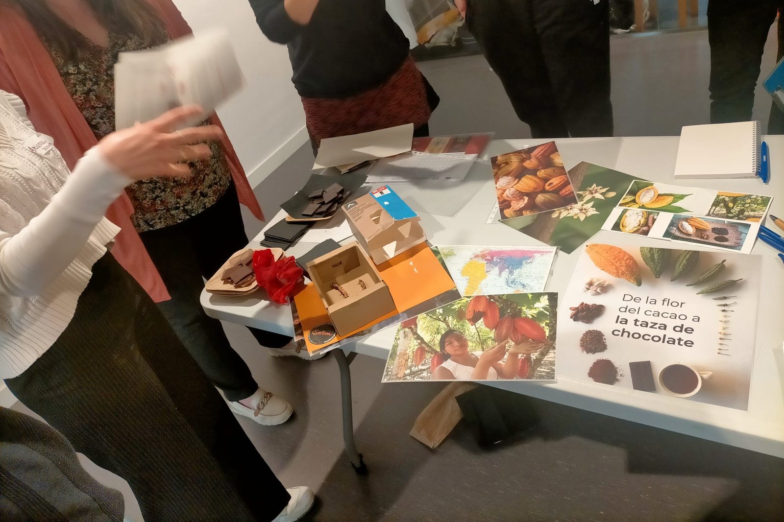 A table with cocoa pods, photographs and chocolate samples used in the fair trade chocolate workshop